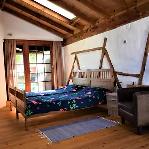 Casa Madera 1 Ferienhaus Icod De Los Vinos